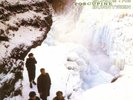 Echo & The Bunnymen - Porcupine REMASTERED vinyl LP NEW/SEALED