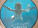 Nirvana Smells Like Teen Spirit 12