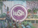 LUSH - 