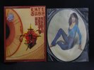 Kate Bush - The Kick Inside (PICTURE DISC.1979.U.K.First) Vinyl.Record.LP