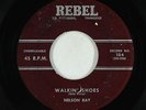 Rockabilly 45 - Nelson Ray - Walkin' Shoes - Rebel - mp3