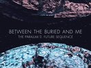 The Parallax II: Future Sequence - 2 LP Marble Colored by Between the Buried and