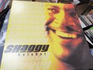SHAGGY-HOT SHOT-2 X12