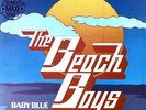 The Beach Boys - Here Comes The Night Maxi Coloured Vinyl (VG/VG) .