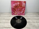SIOUXSIE AND THE BANSHEES THE THORN 12