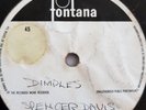 Spencer Davis Group,10