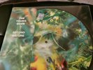 The Young God's Second Nature Picture disc Vinyl Lp Ltd 499 copies
