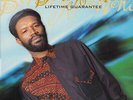 Beres Hammond - Lifetime Guarantee, LP, Album,(Vinyl)
