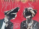 Bad Religion Recipe For Hate *SIGNED all vinyl LP album nofx pennywise offspring