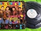 LOS SABROSOS DEL MERENGUE - QUE SIGA EL PARTY  1994 escaso VINILO (EX)