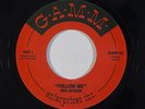 Hip Hop 45 RED ASTAIRE D'ANGELO METHOD MAN Follow Me / Wildstyle on Gamm NM
