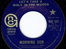 MORNING SUN 45-1970-Dark Hair (National General) Garage/Pop/Psych/Texas