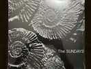 The Sundays Reading Writing & Arithmetic LP Vinyl Record Store Day RSD RARE