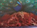 Opeth - Sorceress - Box Set