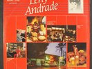 LENY ANDRADE: leny andrade POINTER 12