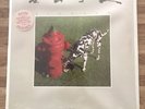 Rush Signals Sealed Original Release New
