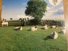 The KLF - Chill Out [JAMS LP5] First Pressing Ambient Vinyl LP - Excellent Con.