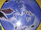 Madonna  légendaire Picture Disc EROTICA