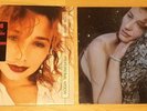 TORI AMOS Professional Widow 2 x 12