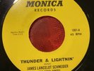 Unknown Garage Blues / Folk Psych 45 James Lancelot SCHNEIDER and THE NAKED Hear
