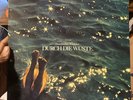 Hans-Joachim Roedelius - Durch Die Wuste LP - Sky Germany NM- Best. -Nr. Sky 014
