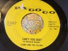 Michigan Garage Punk Ripper 45 Count and the Colony Can't You See PA-GO-GO HEAR