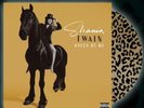 Shania Twain - Queen of Me Vinyl  Gold Leopard Print Picture Disc