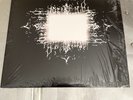 TOOL - Aenima - Vinyl Colored Red & Purple Marbled 2 LP Record IMPORT