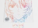 Hikaru Utada /One Last Kiss w/sticker Limited Edition Evangelion LP vinyl record