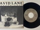 David Lane & Crash Crew 