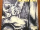 Screaming Trees - Dust - First EU Pressing  1996 EPIC - Vinyl in NM condition