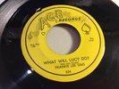 FRANKIE LEE SIMS-ACE 524-WHAT WILL LUCY DO?/MISERY BLUES-TEXAS BLUES 45 1956