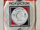 Ray Paige - Don't Stop Now / Ain't No Soul 1966 RCA Deadstock Soul
