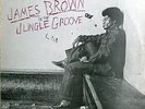 James Brown - In The Jungle Groove (2xLP, Comp)