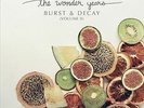 Burst & Decay, Vol. 2 by The Wonder Years (Record, 2020) New / Sealed 12” Vinyl