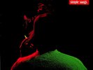 Jim O'Rourke – Simple Songs LP (NEW 2015 Vinyl) Loose Fur/Yona Kit/Sonic Youth
