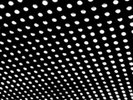 BLOOM-2LP NEW CD