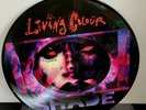 LIVING COLOUR 