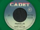 CALLIER, Terry - Ordinary Joe (reissue) - Vinyl (7
