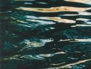 JOHNSON, Jo - The Wave Ahead - Vinyl (LP)