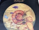 Mint- Nektar Remember The Future Passport Records 1974 1st Edition Stereo LP