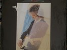 ERIC JOHNSON TONES LP, 3 TONE LABEL 12