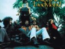 Jimi Hendrix Experience: Electric Ladyland (6LP/Bluray/48pg  LP vinyl *SEALED*