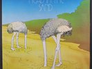 SAND: head in the sand OSTRICH 12