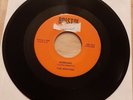 The Senators 45 Scheming / Tafu R&B DOO WOP Bristol BR-1916 vg+