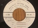 BLUES IMAGE - RISE UP / TAKE ME BACK, ATCO, 45 RPM, TEST PRESSING, 1970, NM