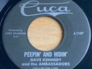 Dave Kennedy -Peepin' And Hidin'- Wisconsin Rockabilly 45 on Cuca - Hear