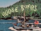 Boyscott - Goose Bumps [New Vinyl LP] Blue, Colored Vinyl, Digital Download