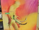 THE BREEDERS RECORD 