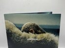 Lemonade by Beyoncé (Record, 2017) - Yellow Vinyl Nice Condition